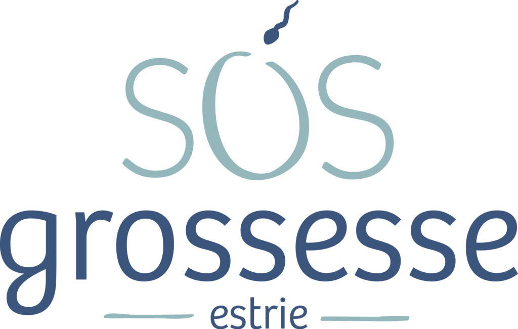 logo_grandformat_fonce - Anne-Sophie Sos
